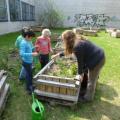 Kinder bepflanzen ein Hochbeet