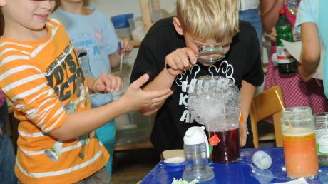 Grundschule im Ganztagsfokus